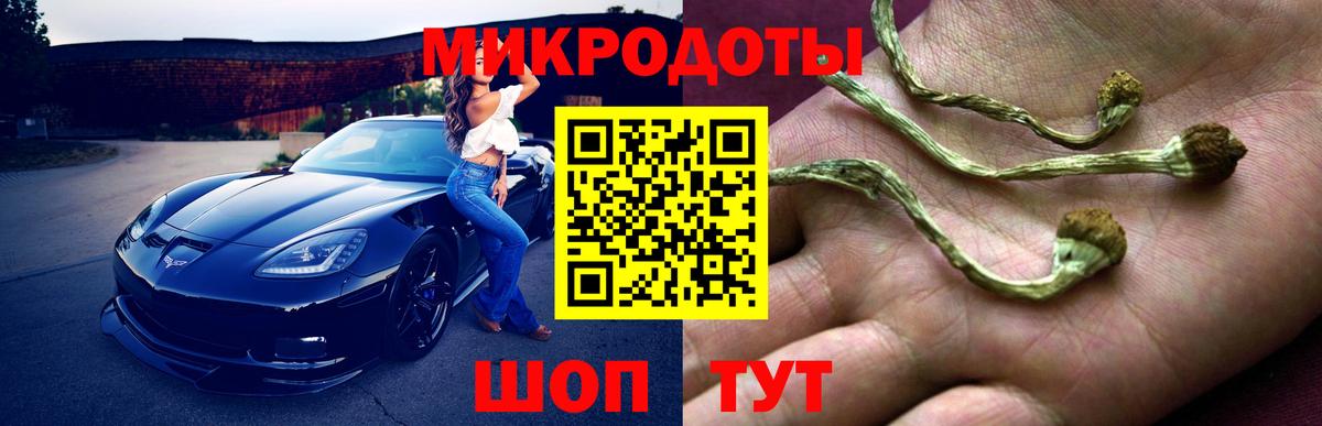 Галлюциногенные грибы MAGIC MUSHROOMS  Вход с VPN  Строитель 